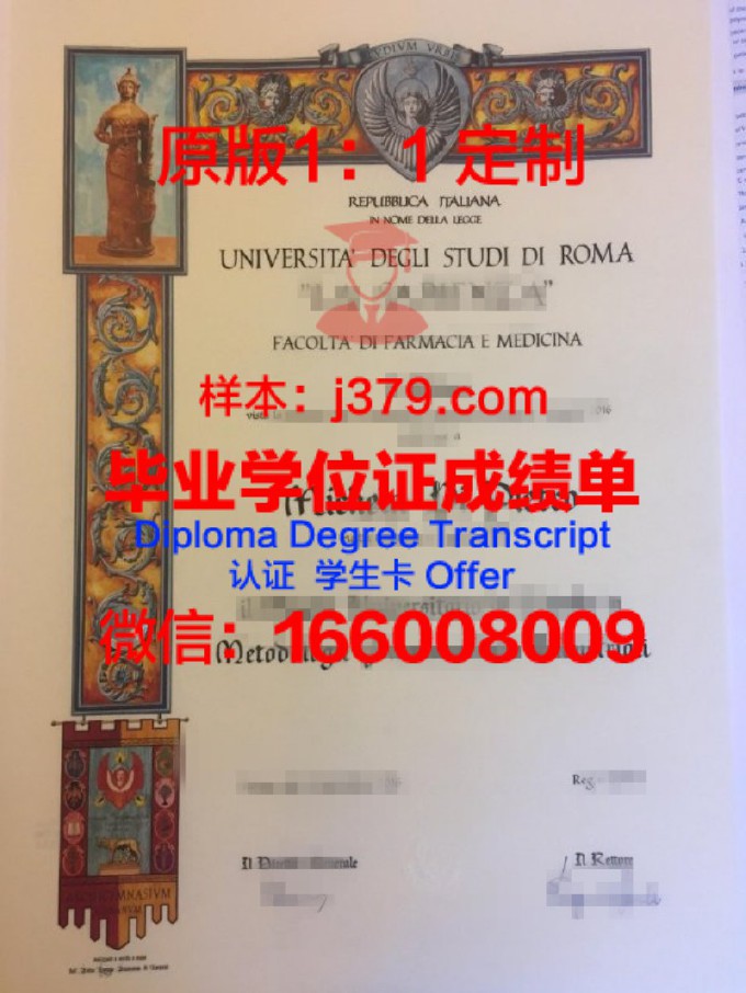 罗马第二大学毕业证是什么样呢(罗马第二大学qs)