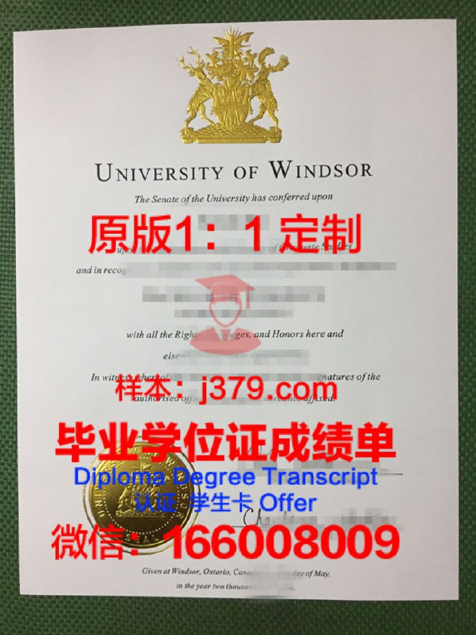 温莎大学学位证(温莎大学入学要求)