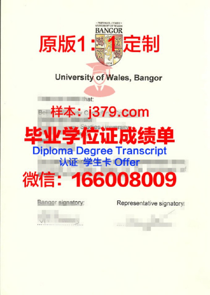 班戈大学的毕业证啥样(班戈大学毕业后回国找工作)