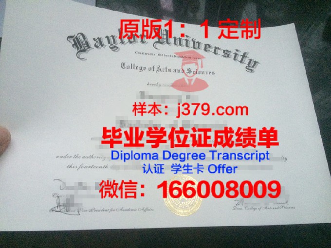 群马大学diploma证书(群马大学什么水平)