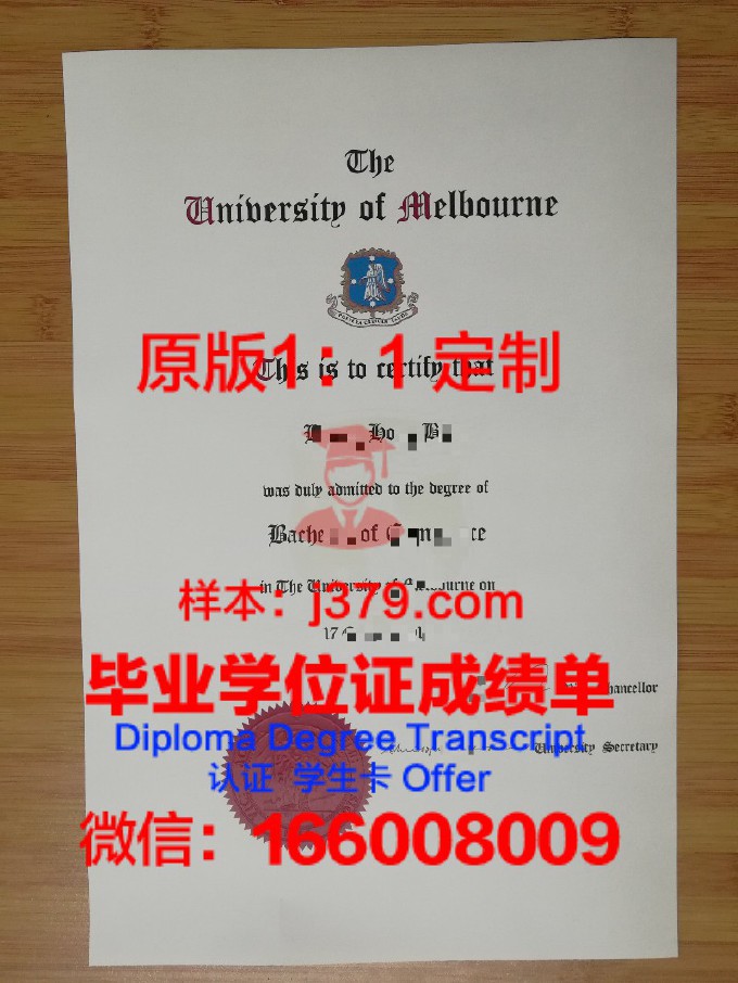 群长大学文凭