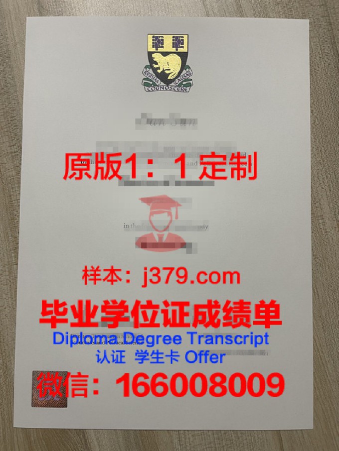 伦敦南岸大学校园卡(伦敦南岸大学校园卡免费吗)