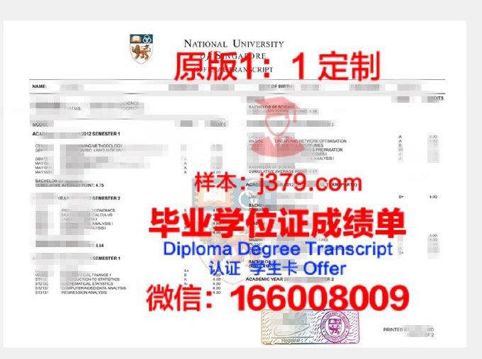 新加坡国立大学毕业证A类(新加坡国立大学毕业率高吗)