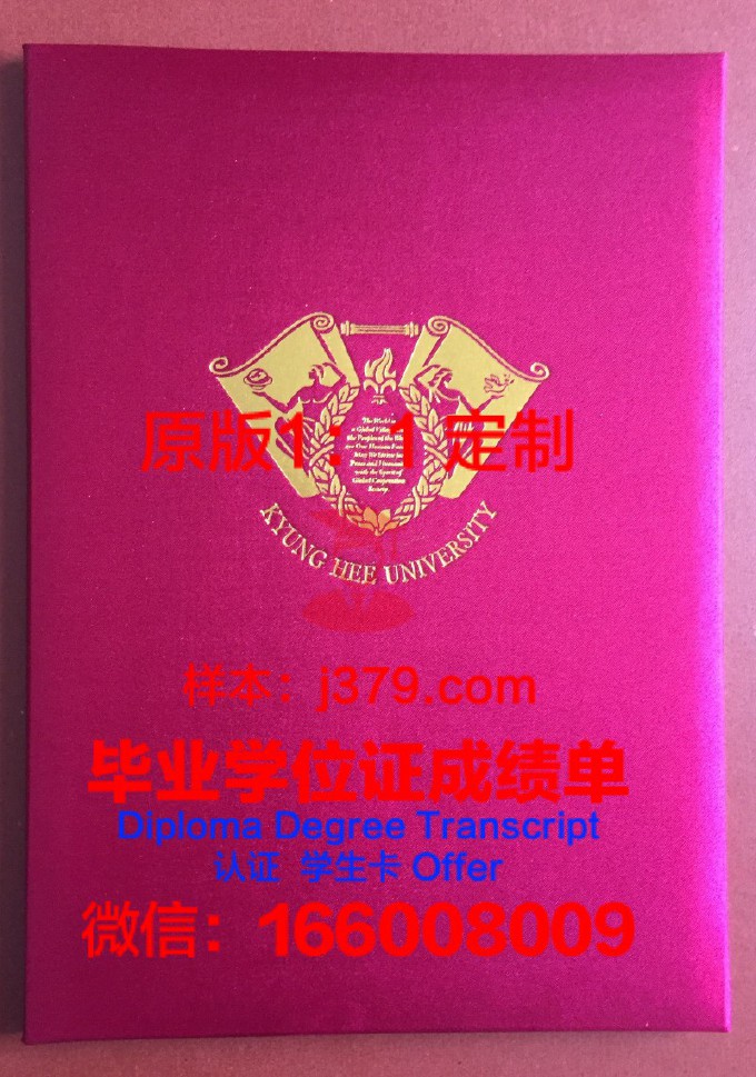 巴什科尔托斯坦共和国总统巴什基尔国家行政与管理学院毕业证壳子