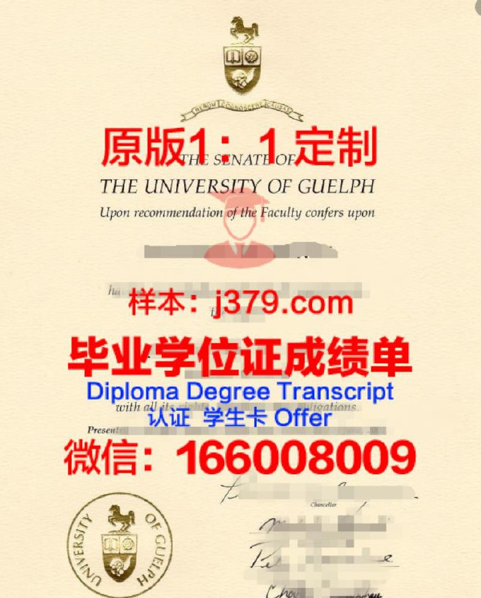 圭尔夫大学学历证书(圭尔夫大学offer)