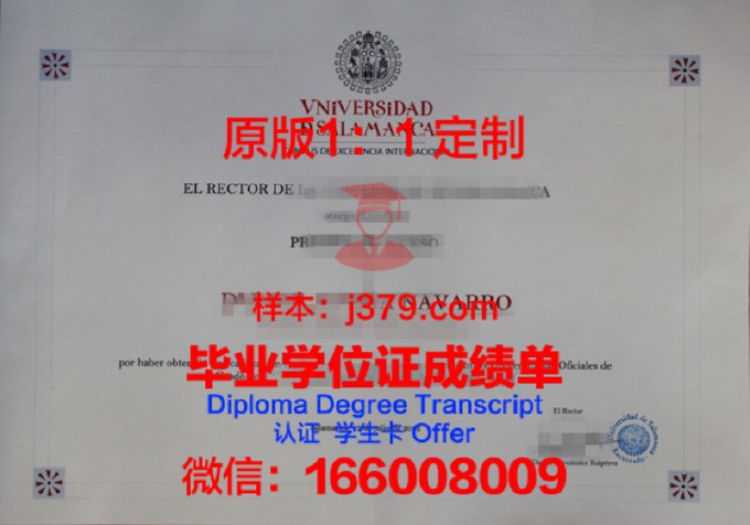 埃尔比勒萨拉哈丁大学diploma证书