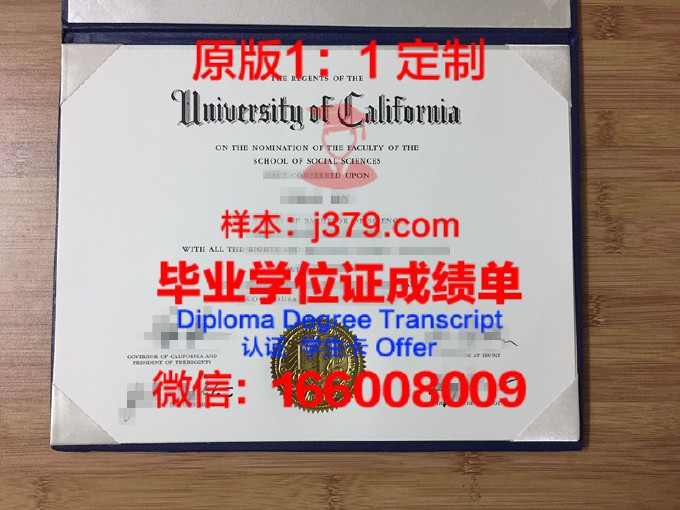 圣加仑大学毕业证书什么颜色(圣加仑商学院)