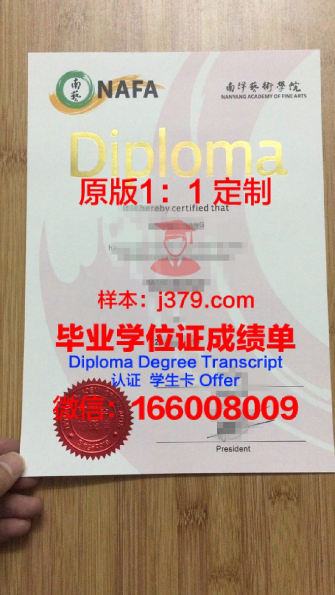 布拉格表演艺术学院diploma证书(布拉格艺术建筑与设计学院官网)