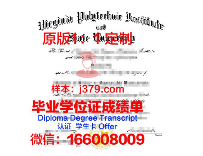 彼尔姆国家研究型理工大学diploma证书(彼尔姆国立科研理工大学)