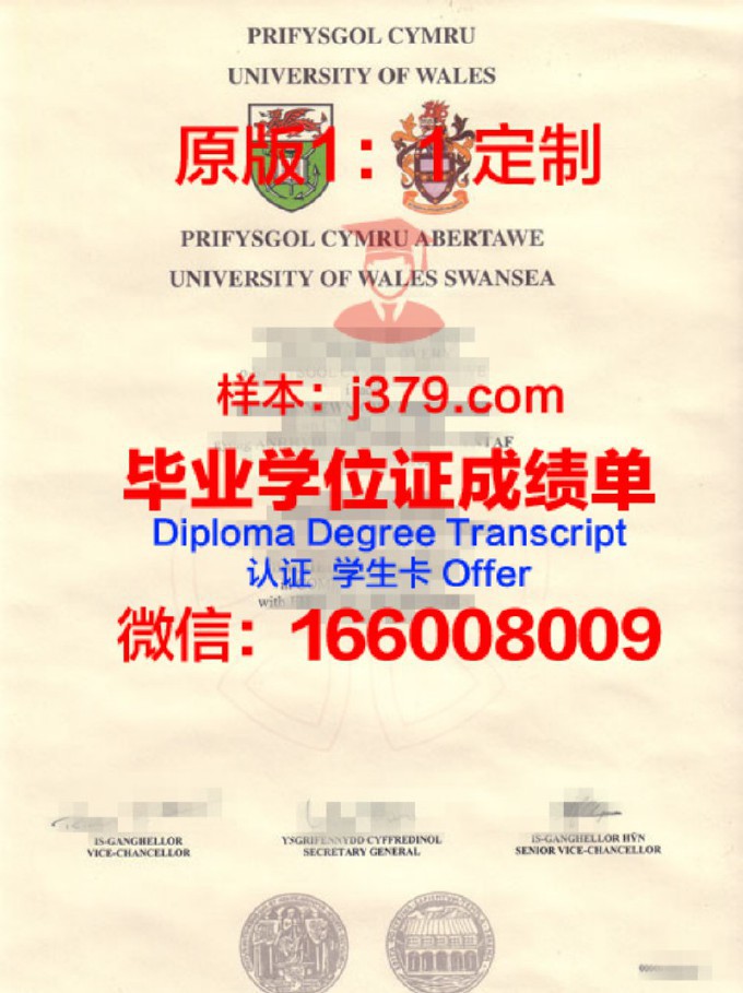 斯旺西大学毕业证是什么样子(斯旺西大学中文官网)