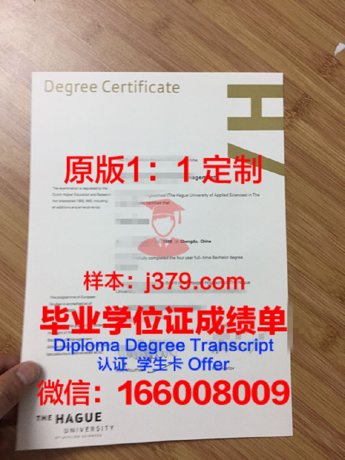 海牙应用科学大学研究生毕业证书(海牙应用科技大学国家承认吗)