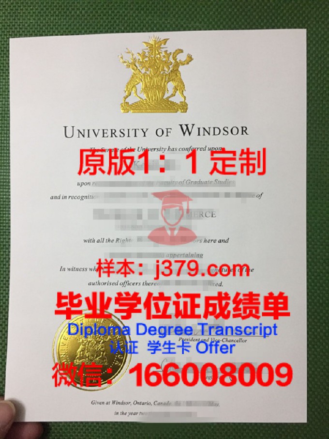 温莎大学硕士毕业证书样本(温莎大学毕业率)