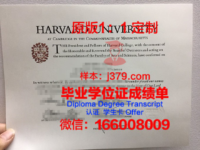 北佛罗里达大学的毕业证都能做(佛罗里达大学本科专业)