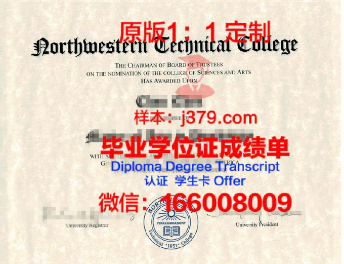 信息技术学院diploma证书(信息技术学院是学什么的)